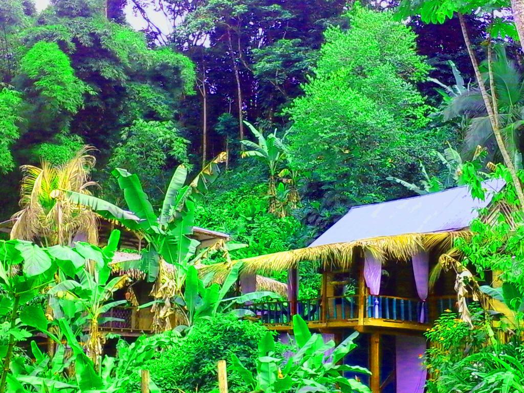 Blue Butterfly Hotel Puerto Viejo de Talamanca Exterior foto