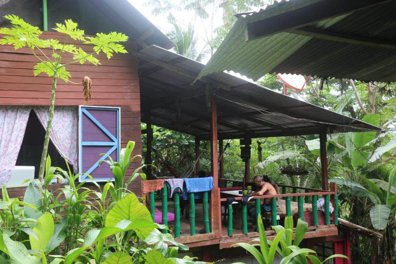 Blue Butterfly Hotel Puerto Viejo de Talamanca Exterior foto